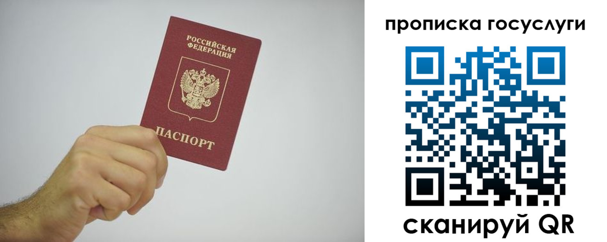 прописка законно в Дмитрове